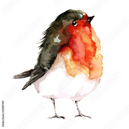 Cute and sweet bird for your design on wallpaper. Vector watercolor art illustration cartoon animals.