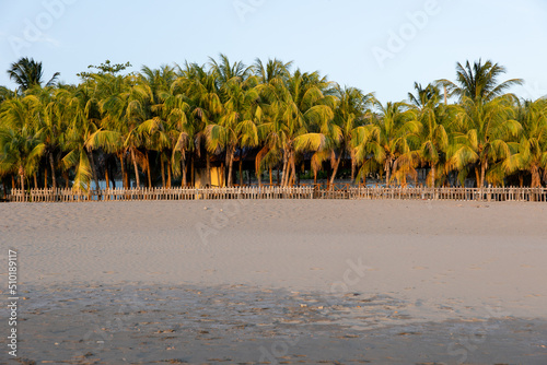 A Street Of Palm Trees