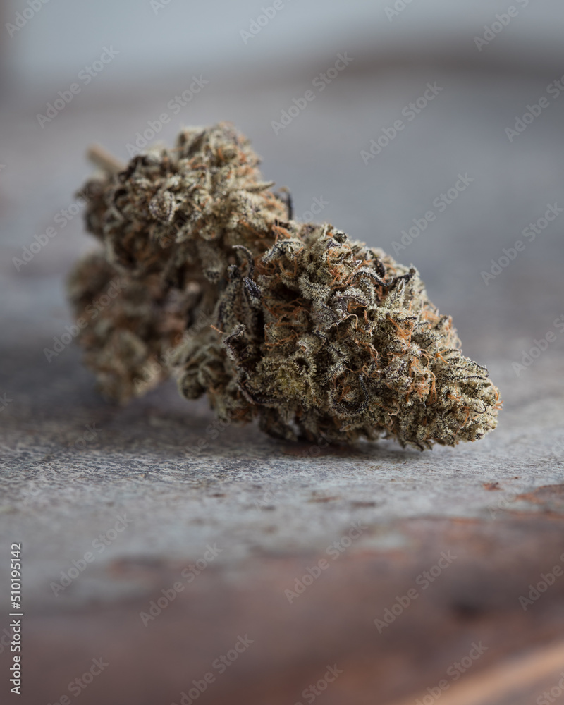 Cannabis buds trimmed and dried against a neutral light background Cannabis buds trimmed and dried against a neutral light background