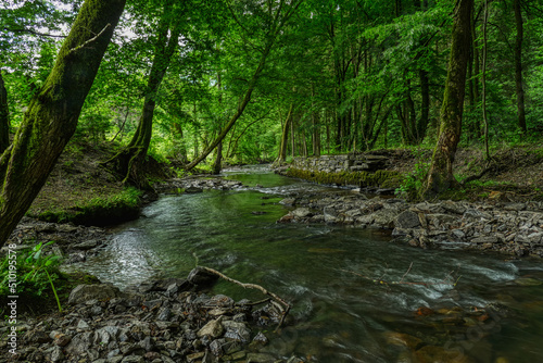 Ansicht des Eifgenbachs im Wald bei Burscheid 