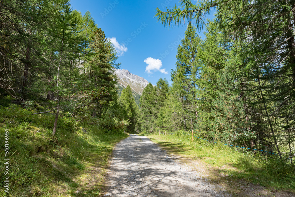 Mountain trail South Tyrol Italy Mountain trail South Tyrol Italy