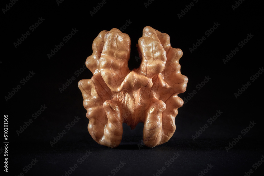 walnut close-up on a completely black background walnut close-up on a completely black background