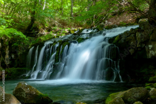 新緑の中流れ落ちる蓼科大滝 © noguchibiyousitu
