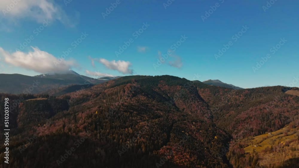 earial view amazing scenic brown meadows and pine forests cover high gentle hill slopes against transparent mist end blue sky. Carpathian mountains, Ukraine beauty nature. Travel, holidays, wild. 4K earial view amazing scenic brown meadows and pine forests cover high gentle hill slopes against transparent mist end blue sky. Carpathian mountains, Ukraine beauty nature. Travel, holidays, wild. 4K