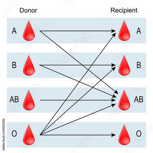 Recipient and Donor. Types of blood