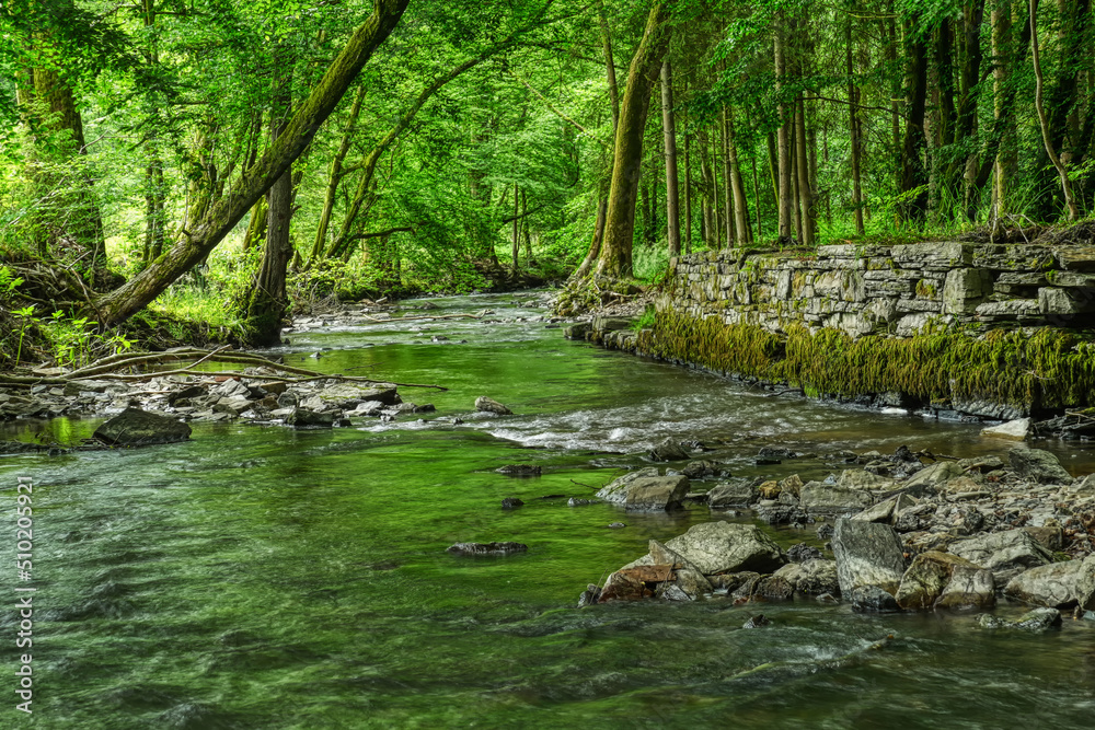 Ansicht des Eifgenbachs im Wald bei Burscheid im Sommer Ansicht des Eifgenbachs im Wald bei Burscheid im Sommer