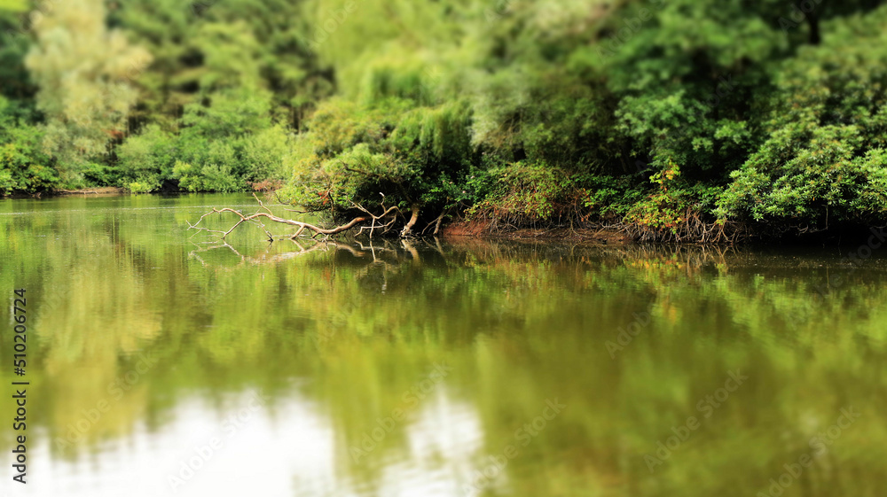 Obraz premium water and reflections in Wachtebeke, Belgium