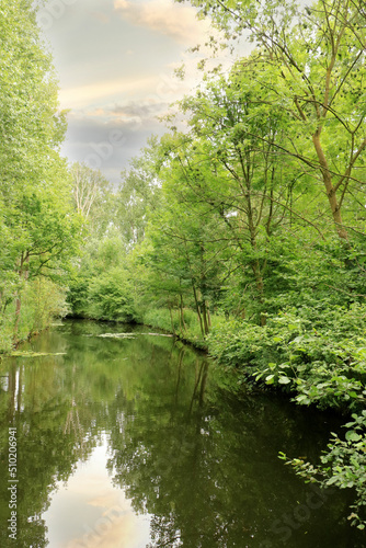 water, trees and nature in Wachtebeke, Belgium