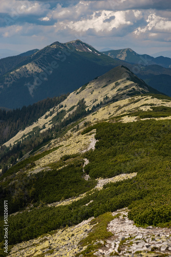 mountains carpathians view of the ridge