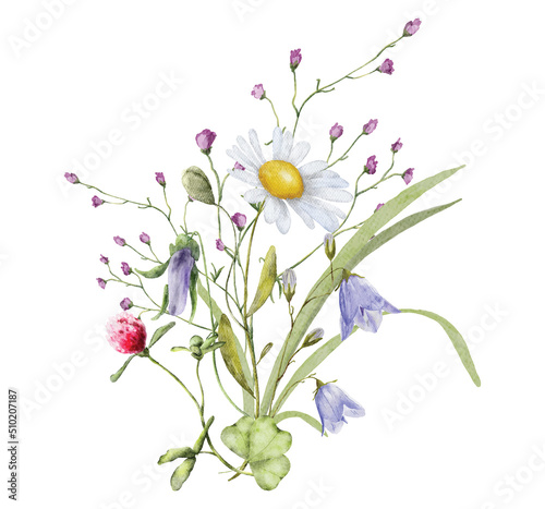 Wild flowers watercolor bouquet botanical hand drawn illustration