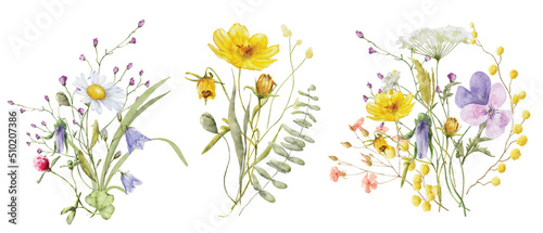 Vászonkép Wild flowers watercolor bouquet botanical hand drawn illustration