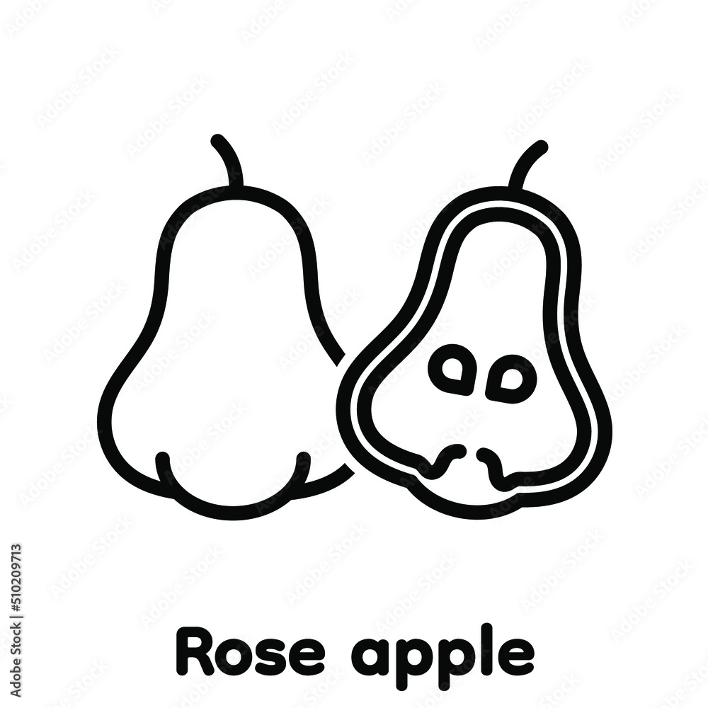 Rose apple fruit linear icon, Vector, Illustration. Rose apple fruit linear icon, Vector, Illustration.