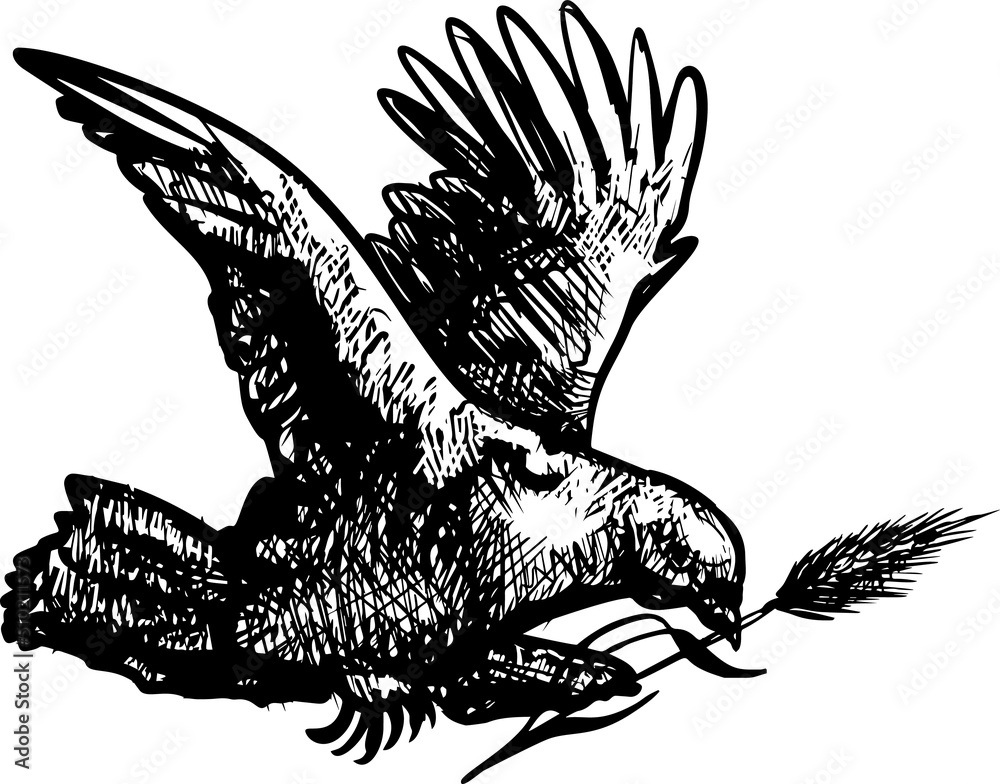 Dove peacemaker , vector. Dove illustration, symbol of peace. Flying ...