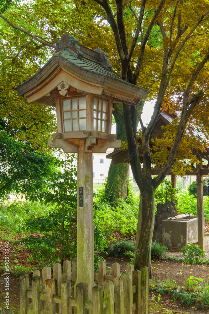 神社に灯をともす灯篭 神社に灯をともす灯篭