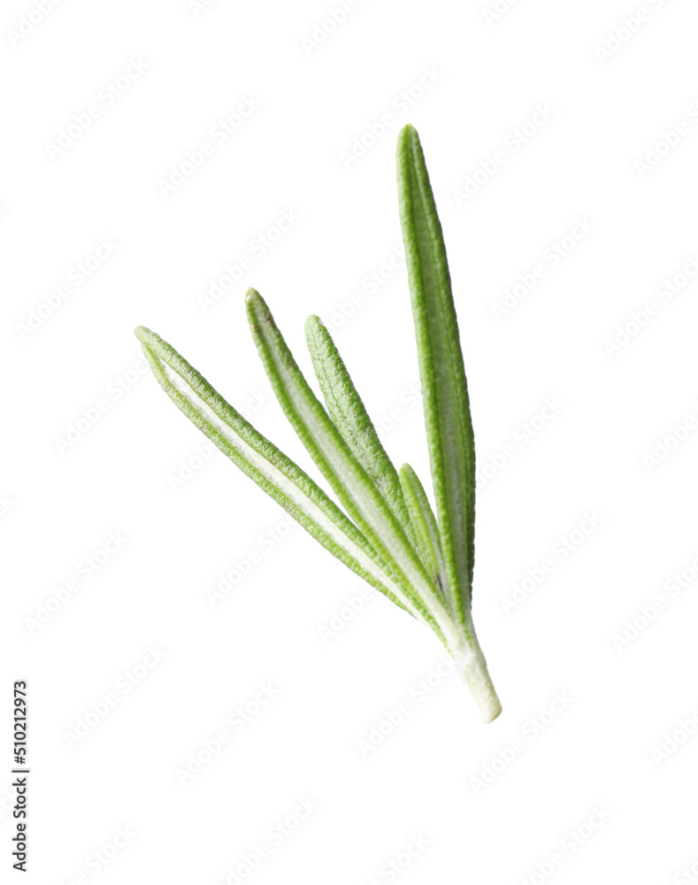 Aromatic fresh green rosemary isolated on white Aromatic fresh green rosemary isolated on white