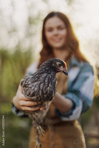 A happy young woman smiles as she looks into the camera and holds a young chicken that lays eggs for her farm in the sunlight. The concept of caring and healthy poultry