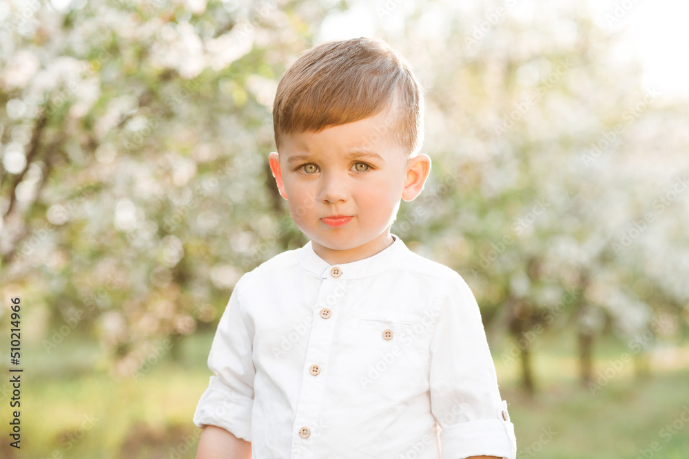 Happy little boy walking in spring garden. Happy little boy walking in spring garden.