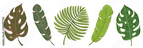 Tropical Leaves Hand Drawn Collection. Hawaiian Paradise Design Elements Set. 