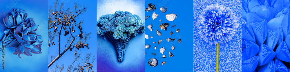 One Color Collage Examples Set of trendy aesthetic photo collages. Minimalistic images of one top ...