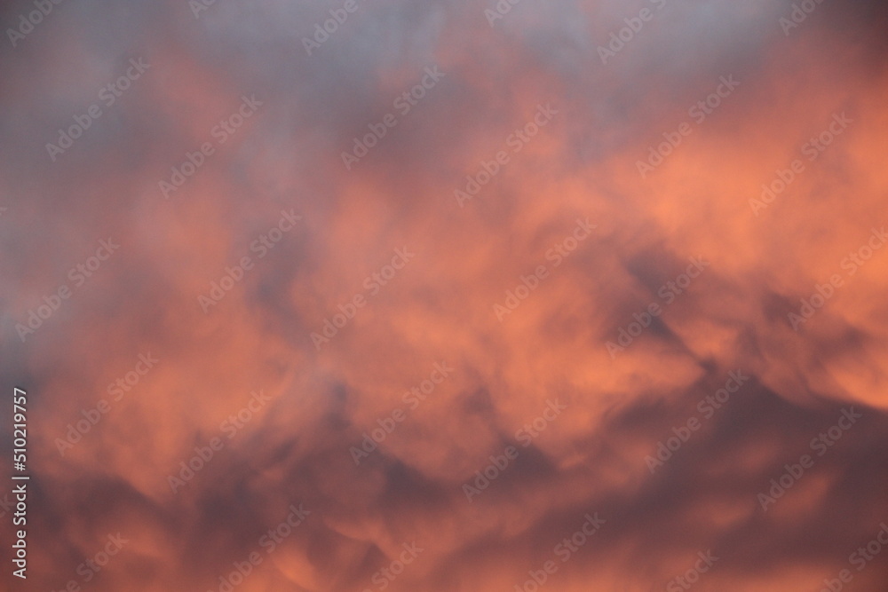 Pink sunset