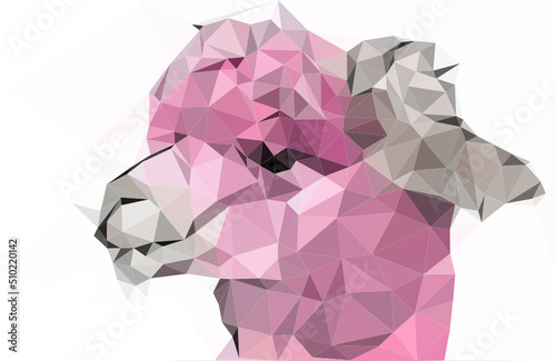 Head of an Alpaca.  polygenic art