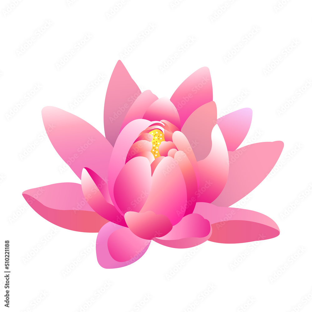 Naklejka premium vector illustration of pink lotus flower