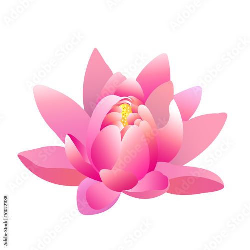 vector illustration of pink lotus flower