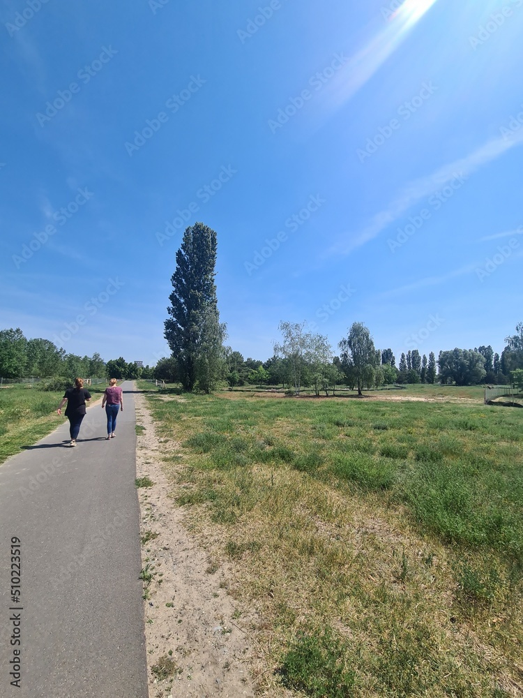 Obraz premium Walking under the blue sky