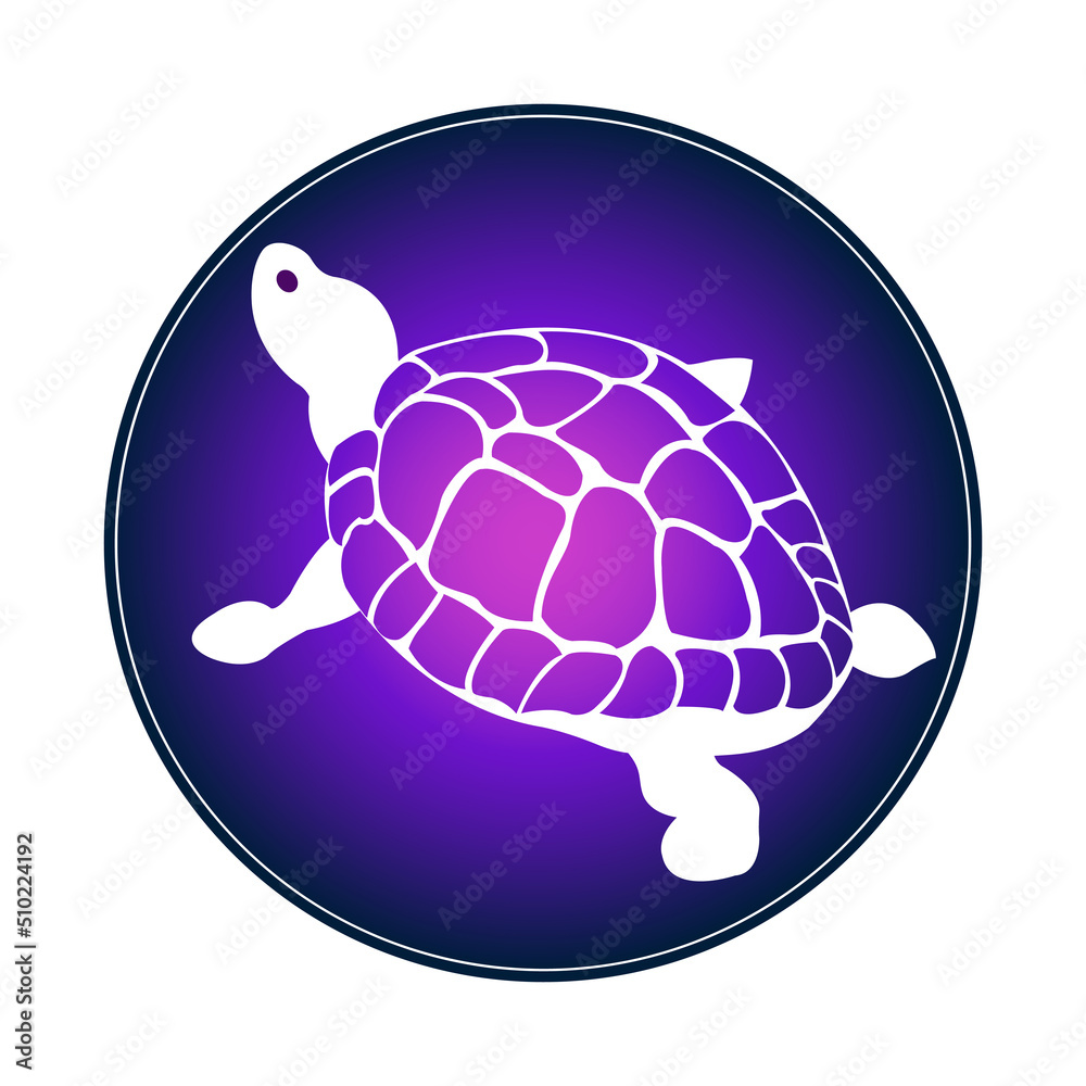 Obraz premium abstract turtle blue logo isolated on white background