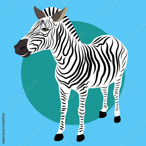 vector illustration of happy beautiful zebra