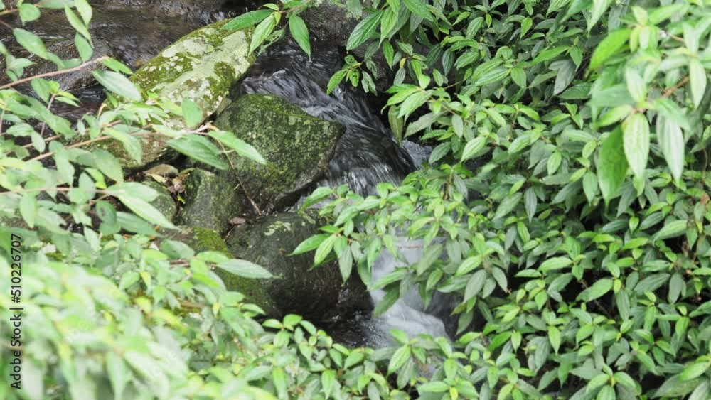 Wild mountain river flowing through stone boulders. Wild mountain river flowing through stone boulders.