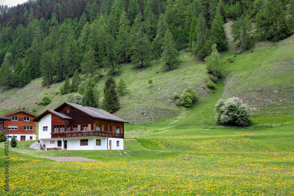 Traditional wooden houses in Swiss alps surrounded by mountains in a green valley