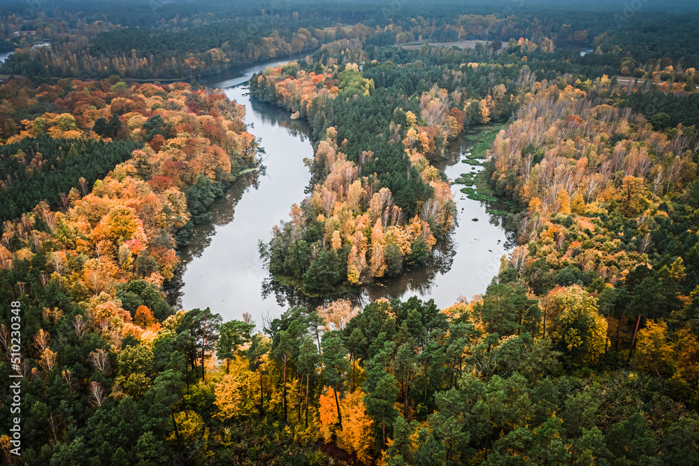 Autumn foggy forest and winding river, aerial view of Poland