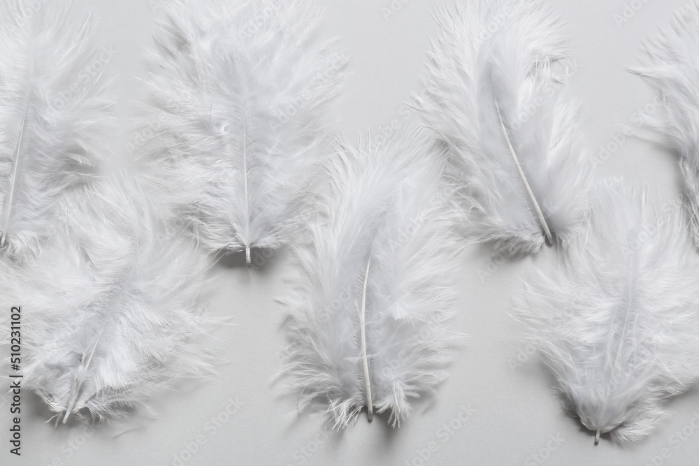Obraz premium Beautiful feathers on light background