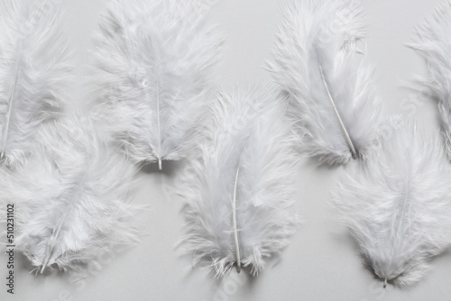 Fototapeta Naklejka Na Ścianę i Meble -  Beautiful feathers on light background