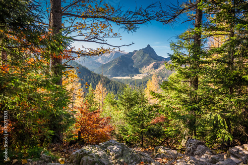 Fototapeta Naklejka Na Ścianę i Meble -  Forest in Tatra mountains at sunrise. Wildlife in Poland, Europe.