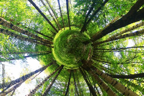 Fototapeta Naklejka Na Ścianę i Meble -  forest tunnel small planet abstract landscape background