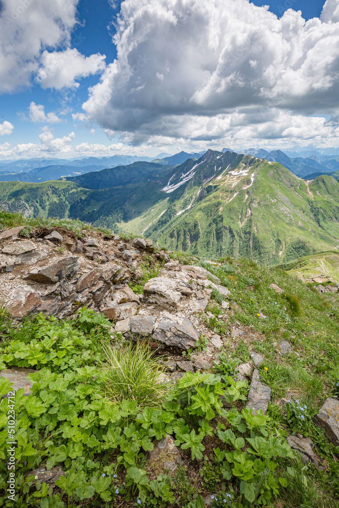 Fototapeta premium Beautiful nature. Mountain hiking Trail Road. Italy Lago Avostanis Casera Pramosio Alta