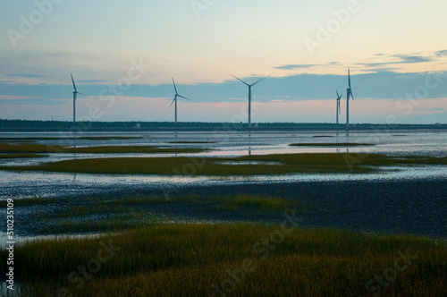 Taiwan, Taichung, West Coast, attractions, Gaomei Wetland, park