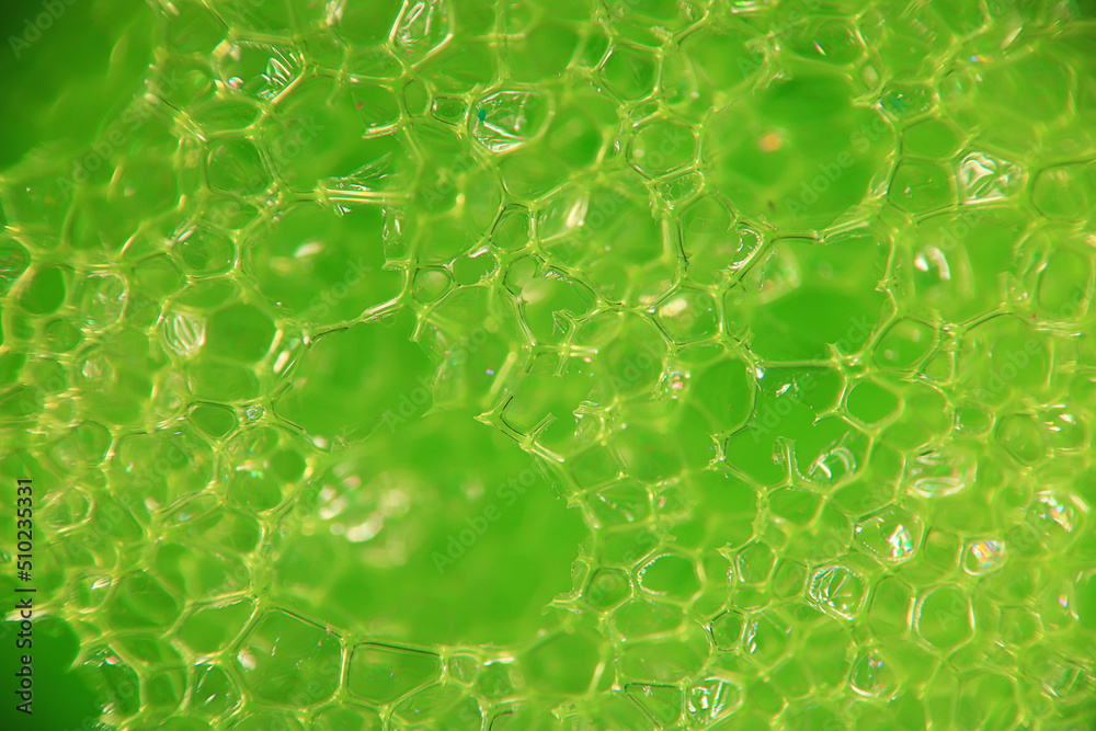 abstract green macro background of a molecule