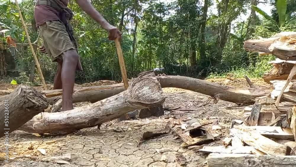 Indian Middle aged Manual worker Uses an Axe to Chop Firewood, Sunny Day. Indian Middle aged Manual worker Uses an Axe to Chop Firewood, Sunny Day.