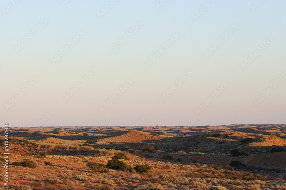 Barren, arid landscape of the Kgalagadi