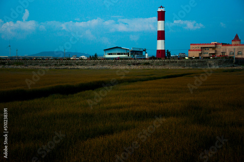 Taiwan  Taichung  West Coast attractions  Gaomei wetlands  parks  chimneys