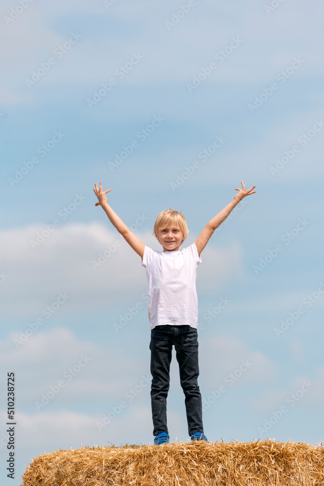 Portrait of stylish blond boy on haystack in field of wheat on blue sky background. Vertical frame. Portrait of stylish blond boy on haystack in field of wheat on blue sky background. Vertical frame.