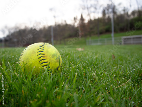 Closeup of yellow baseball in the green grass on the ball field.