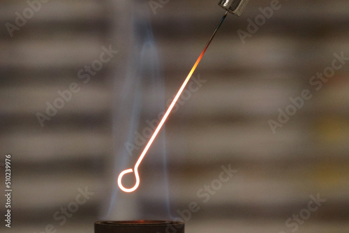 Close-up detail of an inoculation loop being sterilized with a Bunsen burner before being used in bacterial cultures. Medicine and microbiology concept © TopMicrobialStock