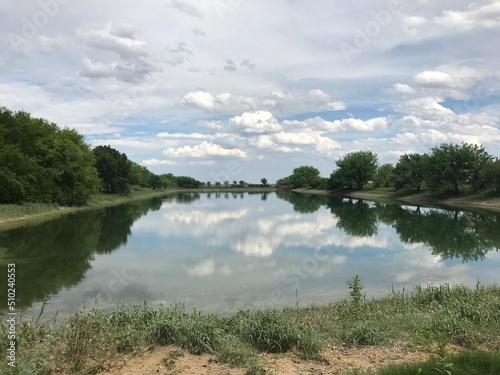 Lake in summer