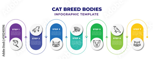Print op canvas cat breed bodies infographic design template with moray, wild horse, grumpy cat, combine harvester, pixie bob cat, raven, ragdoll icons