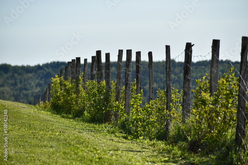 A fence in the spring, Sainte-Apolline, Québec, Canada