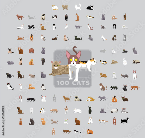 One Hundred Cats Cartoon Vector Illustration Set